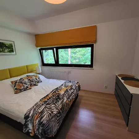Perla A31 *