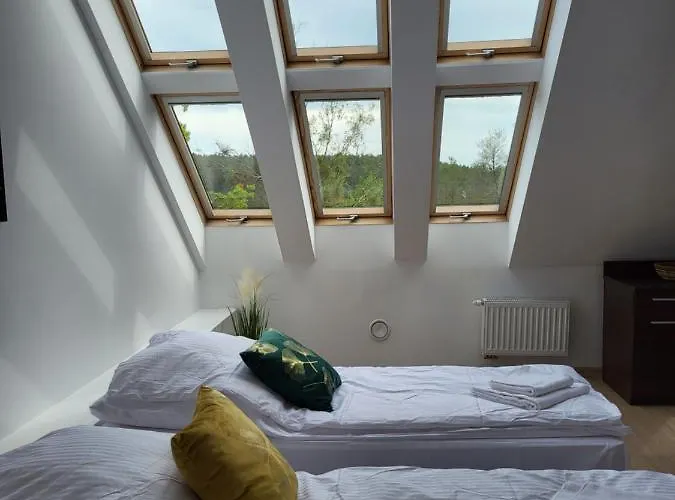 Perla A31 Hohenstein