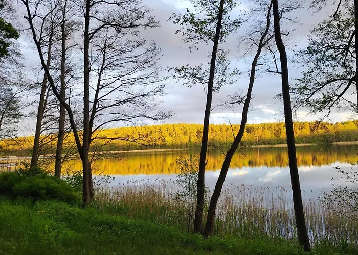 Perla A31 Hohenstein